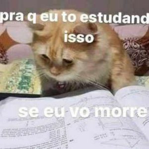 Foto de perfil de Maria Eduarda