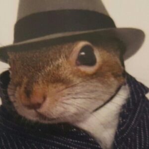 Foto de perfil de Juliana Oliveira